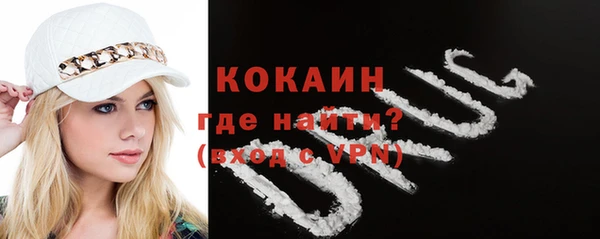 индика Богданович