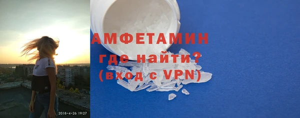 индика Богданович