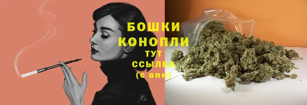 эйфоретик Бородино