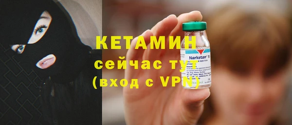 индика Богданович