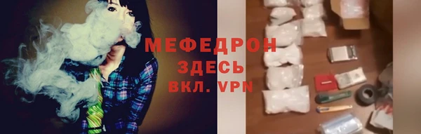 индика Богданович
