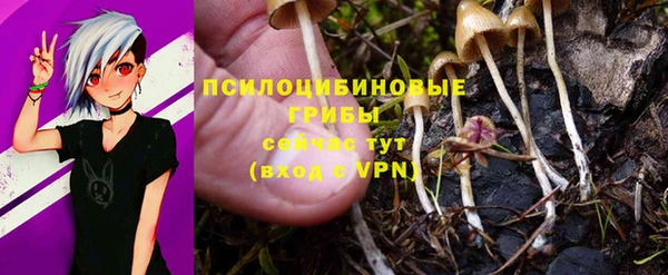 мефедрон Богородицк