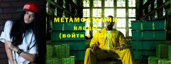 индика Богданович