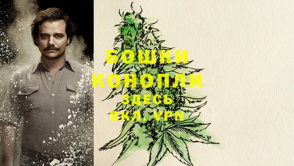 индика Богданович