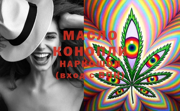 индика Богданович