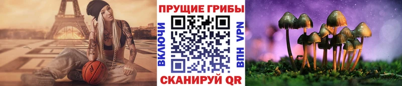 Псилоцибиновые грибы Magic Shrooms  Стерлитамак 